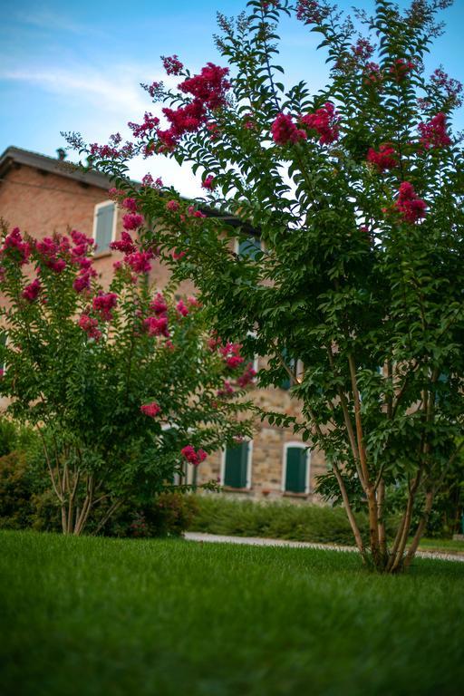 Agriturismo Il Brugnolo Скандіано Екстер'єр фото