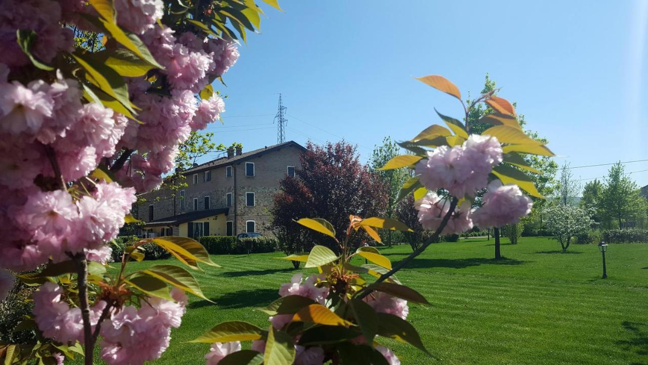 Agriturismo Il Brugnolo Скандіано Екстер'єр фото